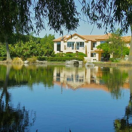 Tuscany Downs Estate Darfield Екстер'єр фото